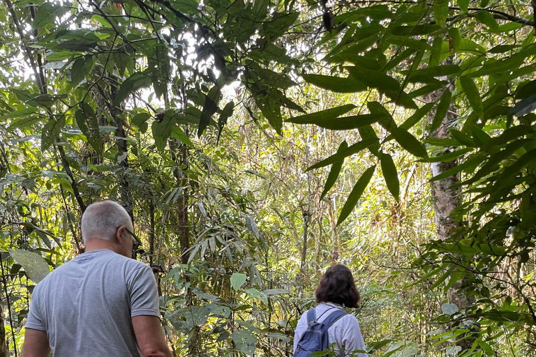 San Paolo: Escursione nella foresta atlantica con un biologoSan Paolo: Escursione di un giorno nella foresta atlantica con un biologo