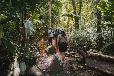 Puerto Rico: El Yunque Rainforest Zipline Adventure