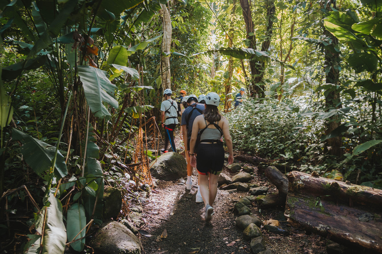Puerto Rico: El Yunque Rainforest Zipline Adventure