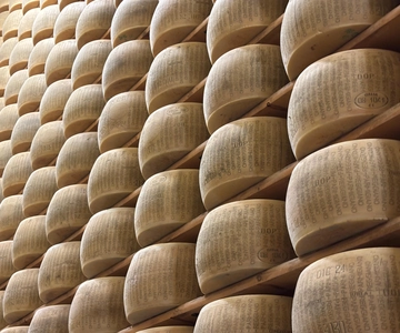 Emilia-Romagna: Parmigiano Reggiano, Dallara, and Wine Tour
