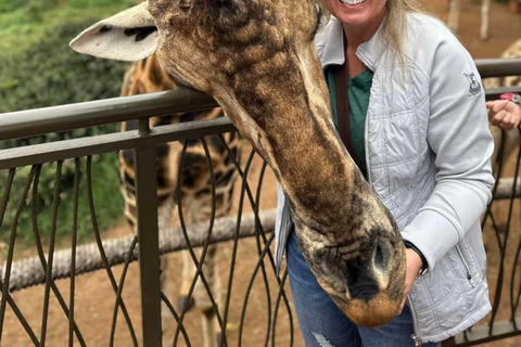Nairobi: Giraffe Feeding & Photography Experience