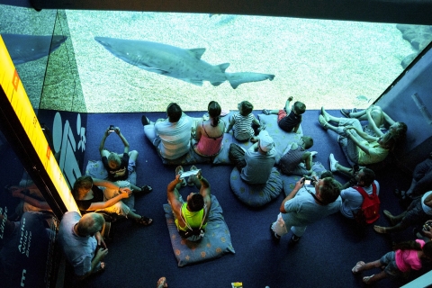 Mallorca: Entrada Palma Aquarium con Cine 3D
