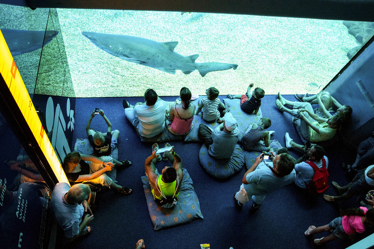 Mallorca: Palma Aquarium Entry Ticket w/ Optional 3D Cinema02. Ticket with 3D Cinema