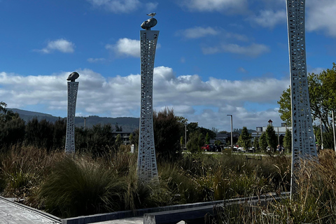 Au départ d&#039;Auckland : Hell&#039;s Gate Mud Bath &amp; Rotorua Highlights Tour