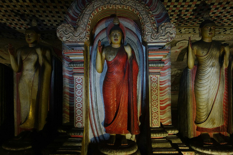 Galle: Kanneliya Rainforest , Jungle Beach & Craft Tour