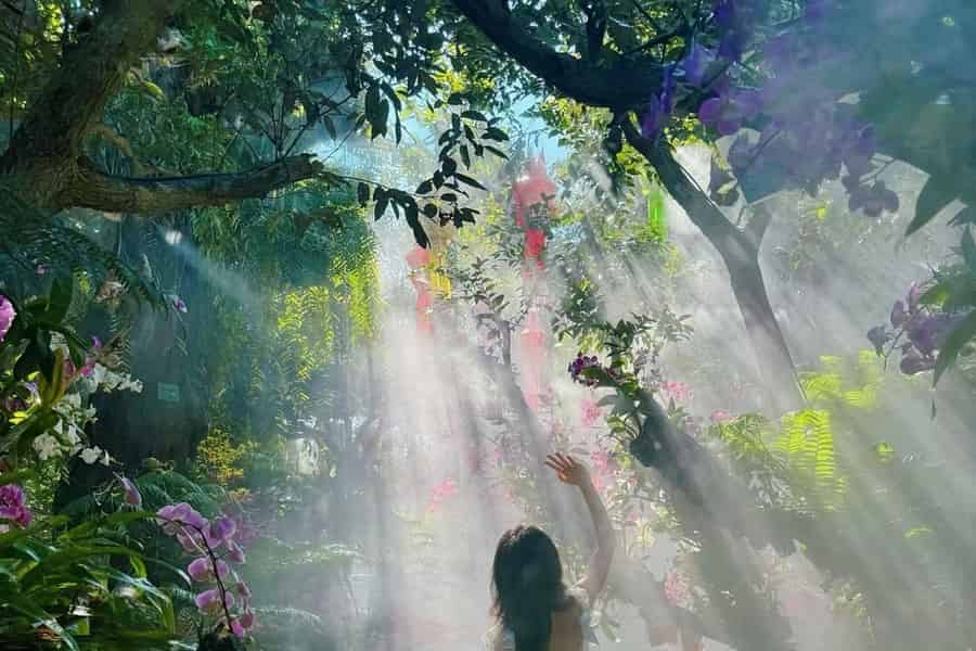 Chiang Mai: Lalitta Café und Tour zu weißen, blauen und roten Tempeln. Foto: GetYourGuide Chiang Mai: Lalitta Café und Tour zu weißen, blauen und roten Tempeln. Foto: GetYourGuide