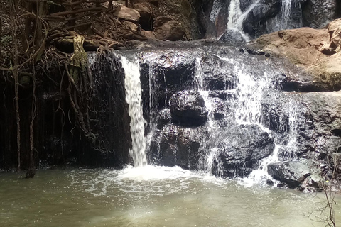 Karura forest: A walking tour into Nairobi&#039;s Nature Oasis