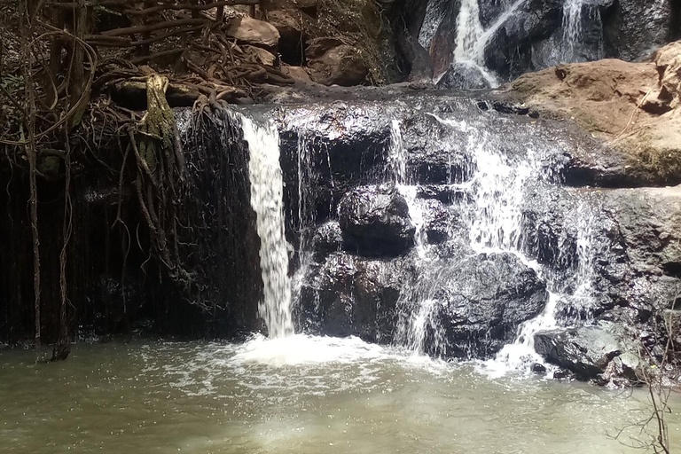 La foresta di Karura: Un tour a piedi nell&#039;oasi naturale di NairobiForesta di Karura: un tour a piedi nell&#039;oasi naturale di Nairobi