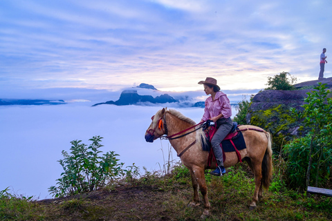 Malibu: Coastal Canyon Horseback Riding Experience