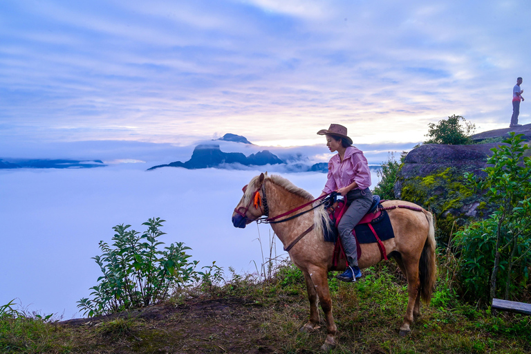 St Lucia: Horseback Ride and Pigeon Island Hike with Lunch