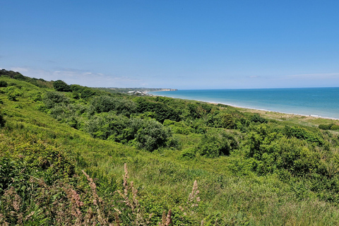 Normandy Landing Beaches: Private Day Tour from le Havre With certified guide