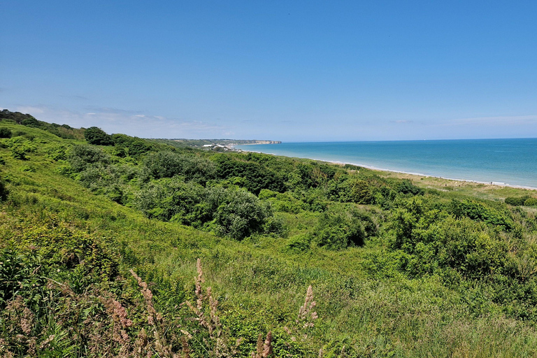 Plaże lądowe w Normandii: Prywatna jednodniowa wycieczka z BayeuxZ certyfikowanym przewodnikiem