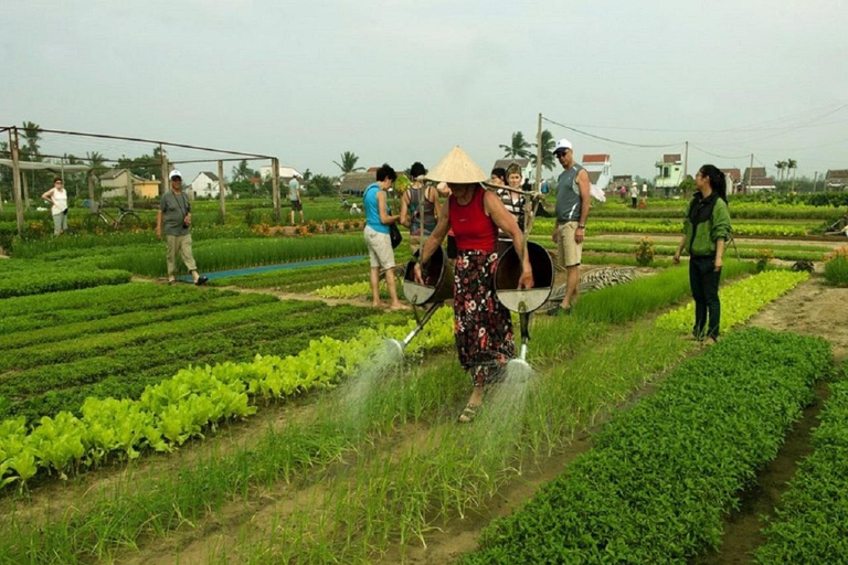 Bicicleta por el campo -Agricultura -Mercado -Clases de cocina en Hoi AnTour privado