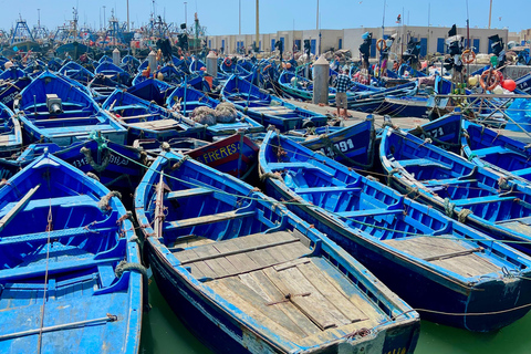 From Marrakech: Essaouira Day Trip with Beach & Medina Essaouira Small Group Day Trip