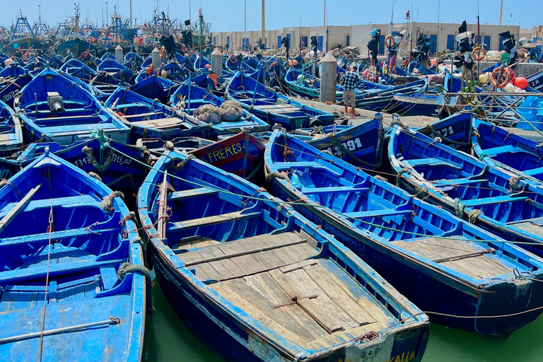 From Marrakech: Essaouira Day Trip with Beach & Medina Essaouira Small Group Day Trip
