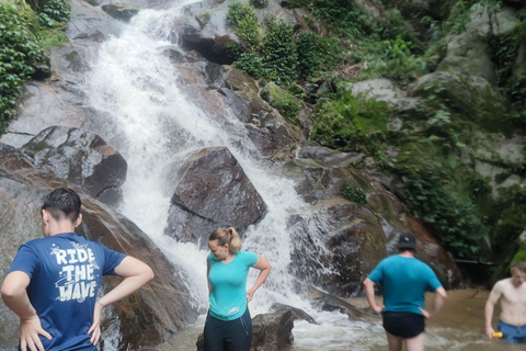 Chiang Rai: Jungle Adventure-Group Trekking & Bamboo Cooking