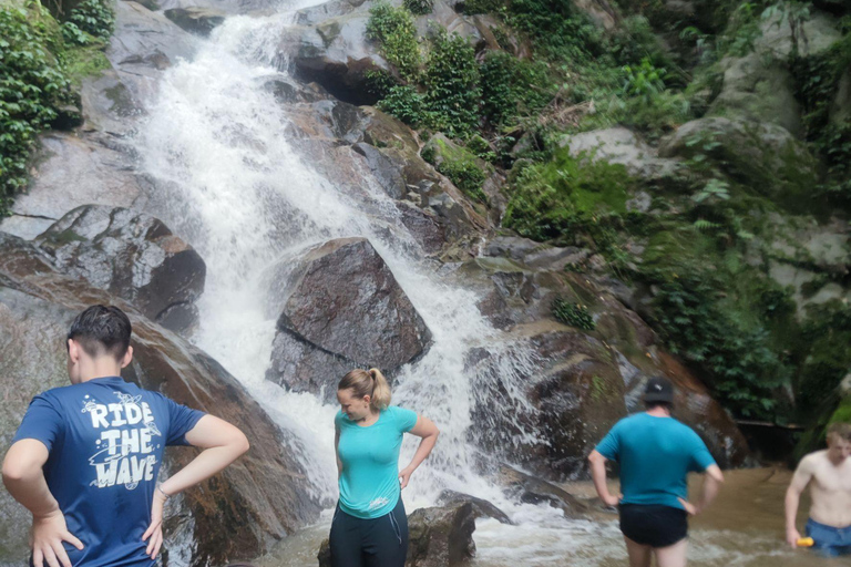 Chiang Rai: Jungle Adventure-Group Trekking & Bamboo Cooking