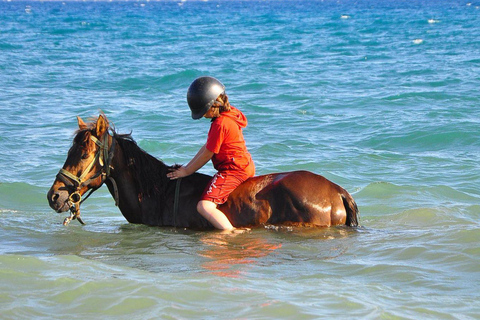 Fethiye: Forest or Sea Horse Riding Experience Fethiye: Horse Riding with Sea Experience