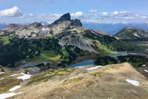 Vancouver: Panorama Ridge Private Guided Hiking Tour