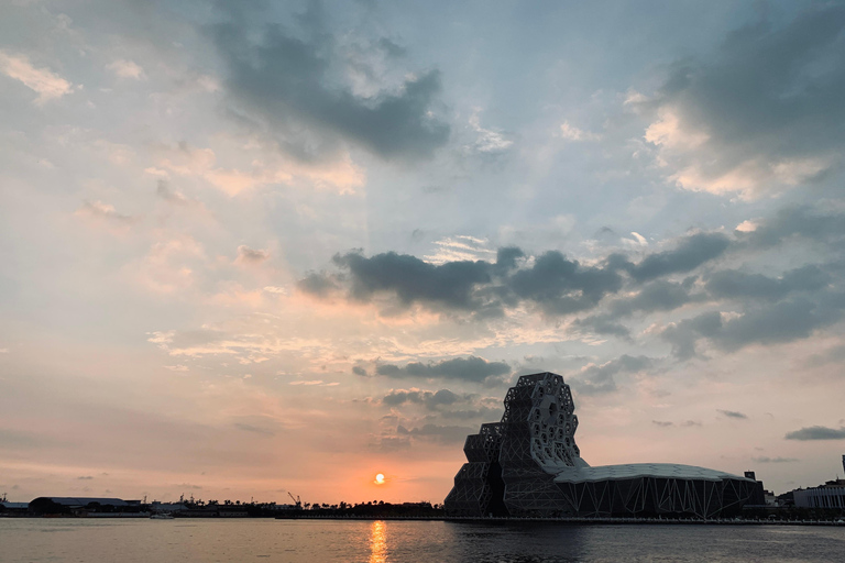 Kaohsiung：Tour de la ciudad con atracciones destacadasCostas y playas