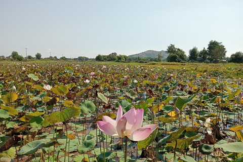 Siem Reap: Tonle Sap Lake & Floating Village Tour Tour in a Tuk Tuk