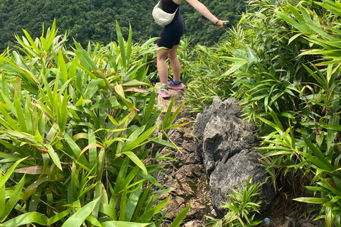 Half day Hiking Cat Ba National Park With guide