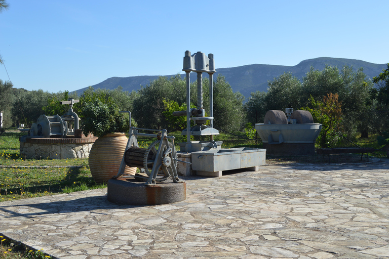 نافبليو: جولة وتذوق زيت الزيتونجولة وتذوق زيت الزيتون