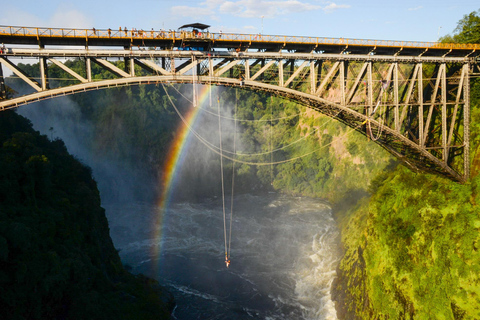 Från Victoria Falls: Historisk bro-tur