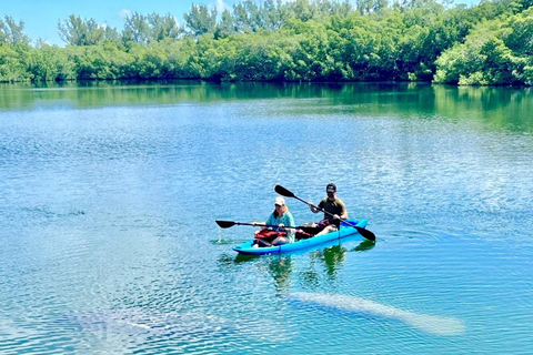 Miami: Manatee Season Paddleboard or Kayak Tour Miami: Manatee Season Single Kayak Tour