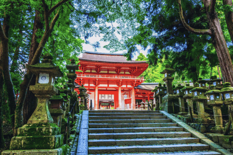 Nara Private Custom Tour with Local Guide