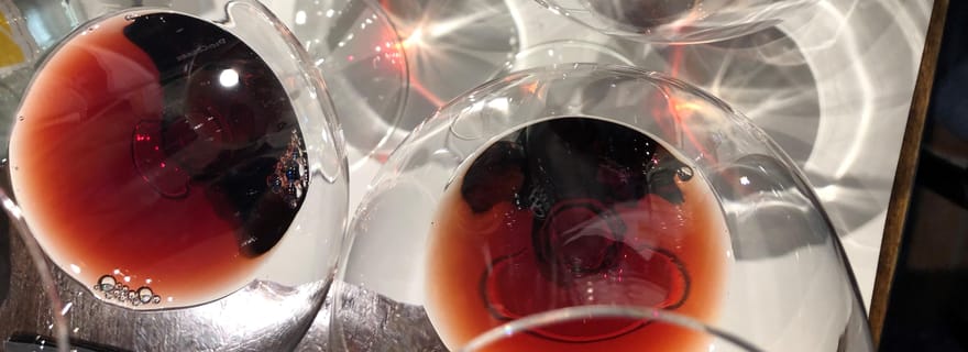 Au départ de Turin : dégustation de Barolo et Barbaresco