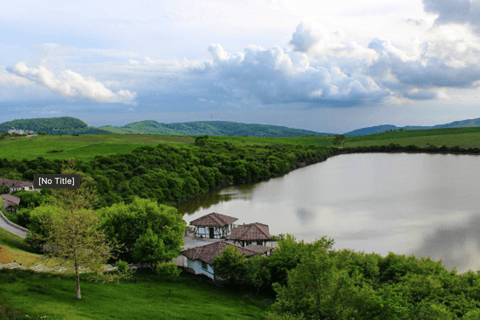 Shamakhi: Abgora vineyard, Alpaca Farm, Diri Baba Day Tour