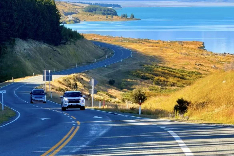 Christchurch: Mt Cook Day Tour with Lake Tekapo