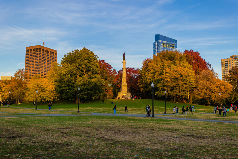 From Boston:Public Garden,Beacon Hill&More Half Day tour Tour Only