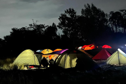 Yogyakarta: Mount Lawu 3-Day Trekking and Camping Tour