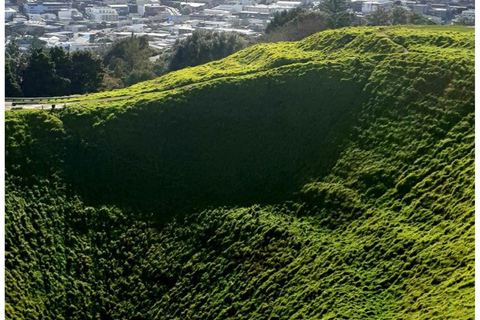 5 Hour Private City Excursion Unveiling Auckland's Treasures