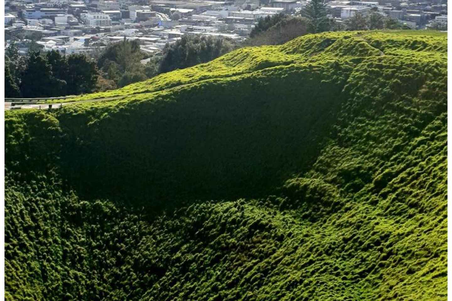 5 Hour City Excursion Unveiling Auckland's Treasures W Guide - 5 Hour City Excursion Unveiling Auckland's Treasures W Guide