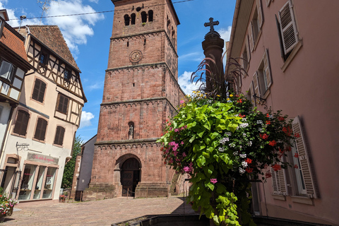 Saverne : visite à pied des points forts