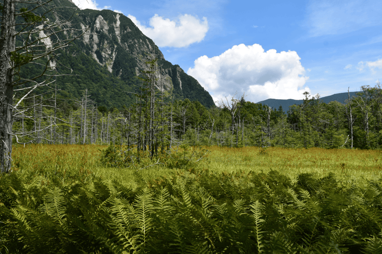 Nagano: Matsumoto Castle & Kamikochi Private Day Tour Pick Up From Your Location