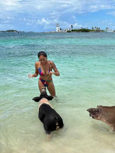 Bahamas: Schwimmende Schweine & Schnorchel-Kreuzfahrt mit Mittagessen & Rum