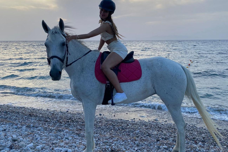 Faliraki/Afadou: Horse Ride to the Beach