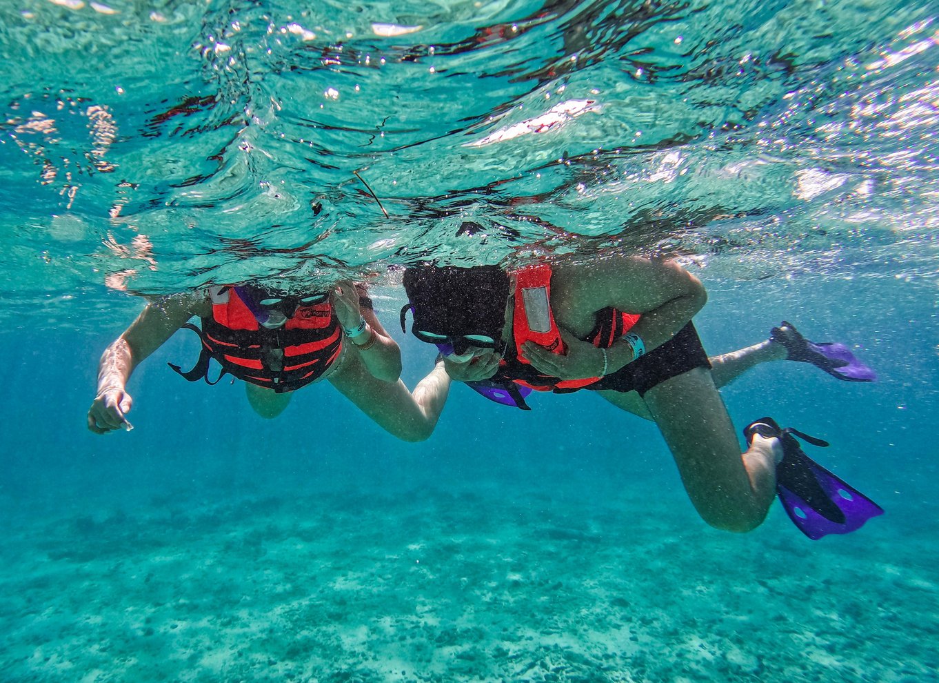 Tulum: 2-timers snorkling på to steder af Tulums rev