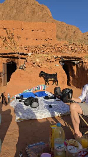 Au départ de Marrakech : vie nomade – Immersion de trois jours – - dromadaire