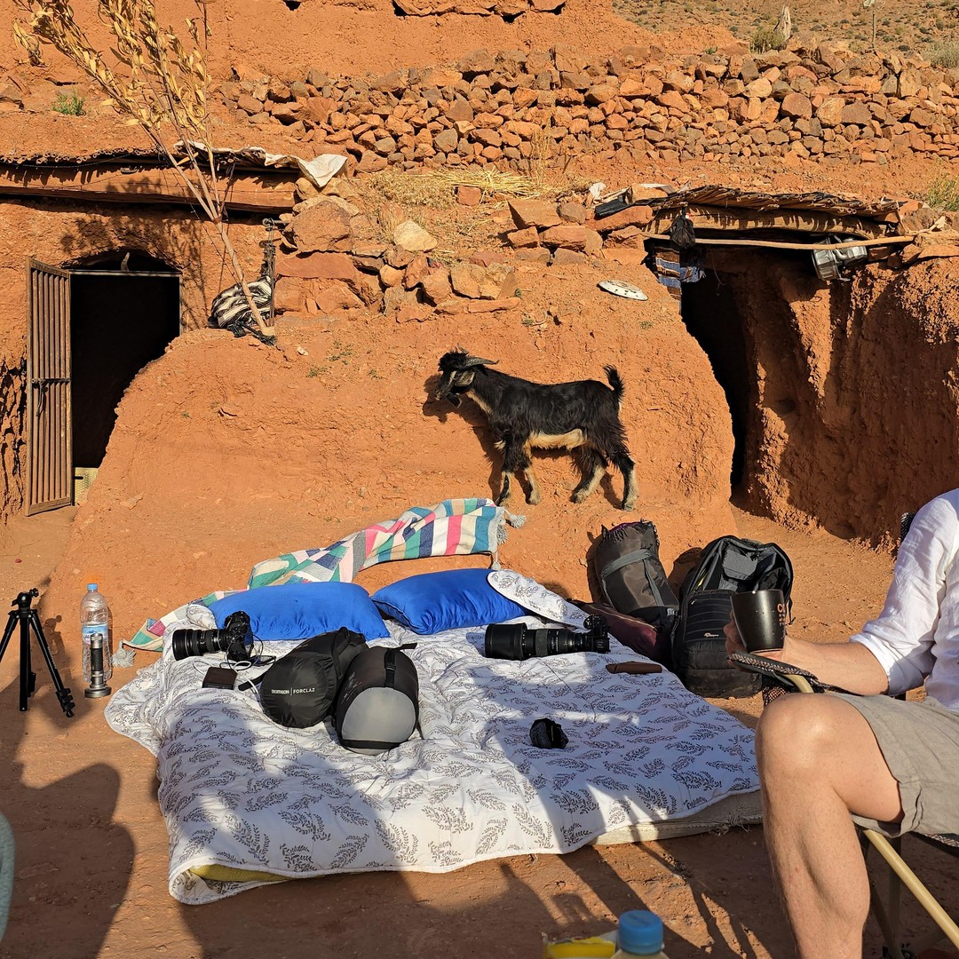Au départ de Marrakech : vie nomade – Immersion de trois jours – - dromadaire