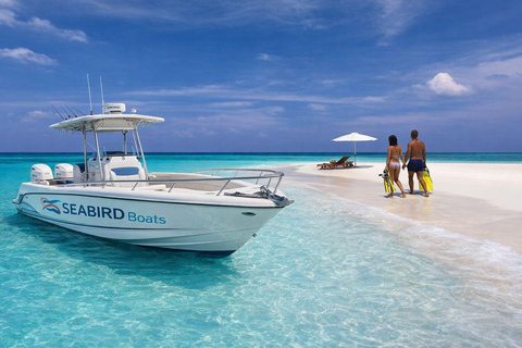 Abu Dhabi: Dolphin Boat Tour with Swim, Lunch, and Transfer
