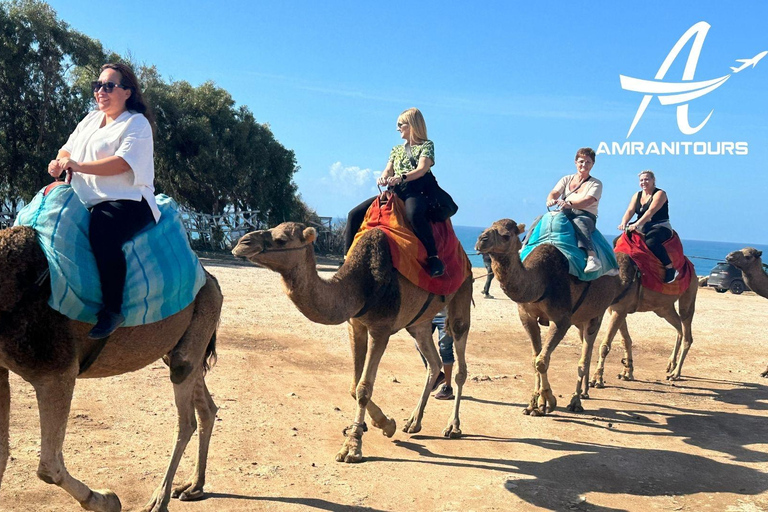 Escursione di un giorno a Tangeri in Marocco da Ronda all inclusive