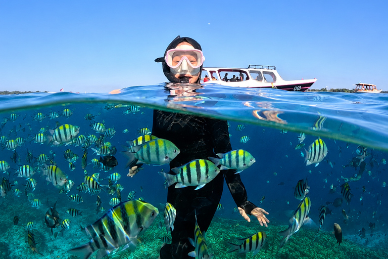 Gili Trawangan: Private Snorkeling Tour 2 Hours