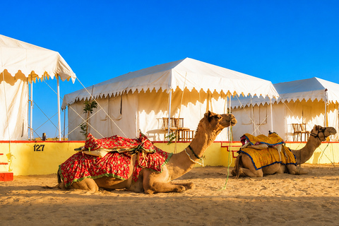 Jaipur, Jodhpur or Jaisalmer Multi-Day Trip with Safari