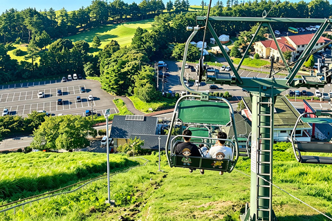 Small Group Day Tour:Omuro Mountain & the Izu Scenic Railway Hotel Transfer Option