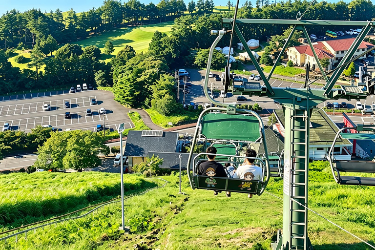 Small Group Day Tour:Omuro Mountain & the Izu Scenic Railway Hotel Transfer Option